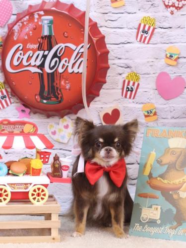 20230906チロルくん